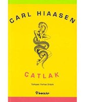 Çatlak