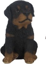 puppy zittend 15,4 x 12,8 cm polyresin zwart