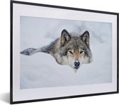 Fotolijst incl. Poster - Wolf - Sneeuw - Vacht - 40x30 cm - Posterlijst