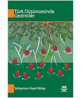 Türk Düşüncesinde Gezintiler