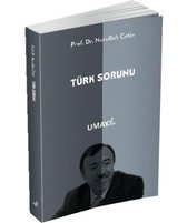 Türk Sorunu