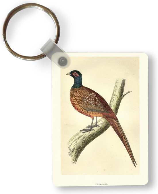 Porte-clés Antique Bird Prints - Antique oiseau imprimé faisan porte-clés en plastique - porte-clés rectangulaire avec photo