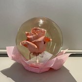 Flowerglobe | Roze | Roos | Long life rose | Flowerbox | Rozen | Roses | Flowers | Giftbox | Roos in water | Pink | Roze roos