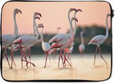 Laptophoes 13 inch - Flamingo's bij zonsondergang - Laptop sleeve - Binnenmaat 32x22,5 cm - Zwarte achterkant