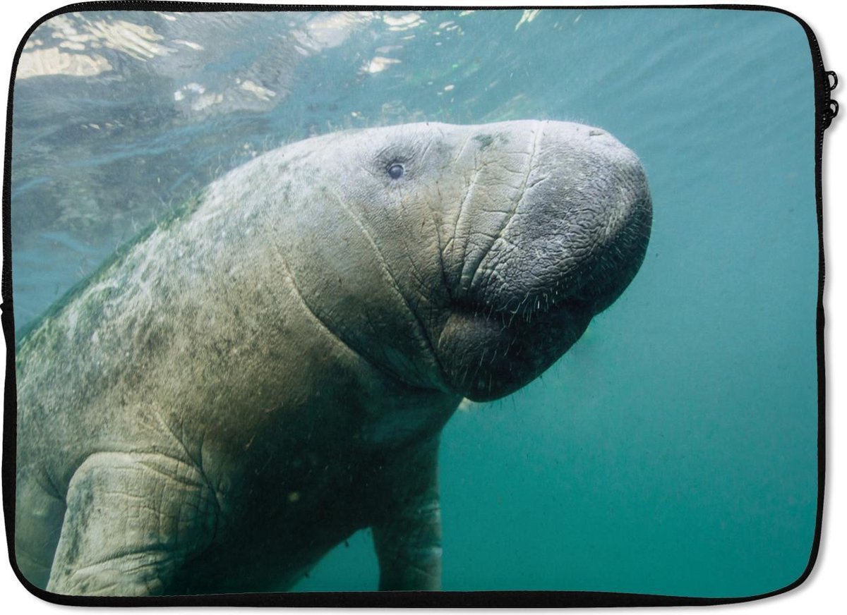 Laptophoes 13 inch - Dieren - Water - Camera - Laptop sleeve - Binnenmaat 32x22,5 cm - Zwarte achterkant