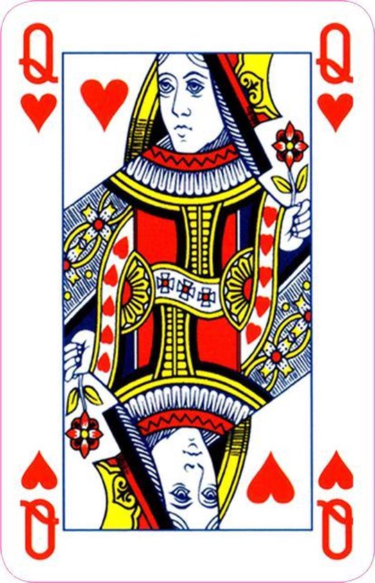 Professionele speelkaarten - BRIDGE size (GEEN poker) - LET OP: 2 spellen! - Nederlands product gedrukt met Bio inkt - Bingo-doe