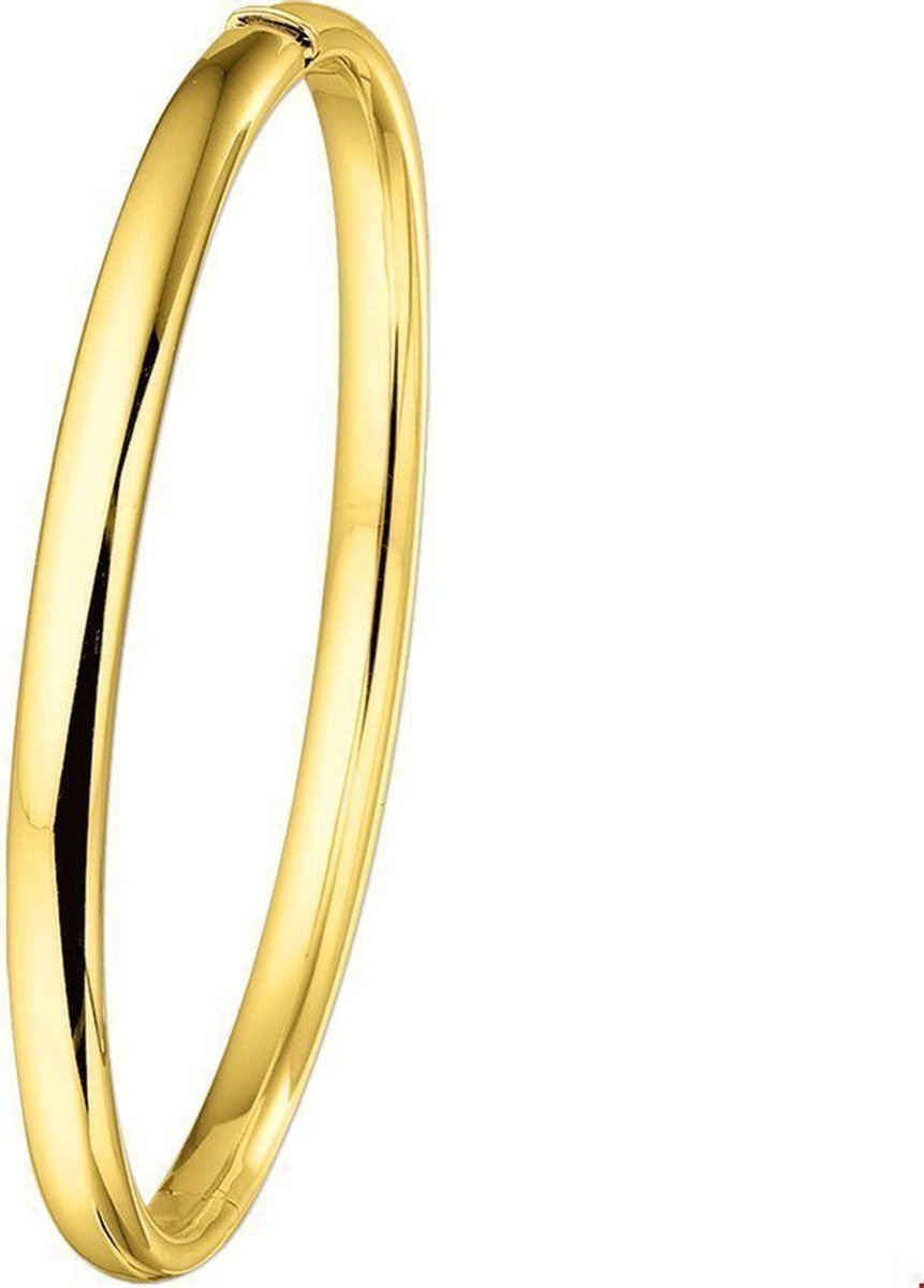 The Jewelry Collection Bangle Scharnier Half Ronde Buis 5 X 60 mm - Geelgoud