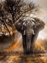 Schilderen Op Nummer Volwassenen - Do It Yourself Paintings - Mighty Elephant - Olifant - Landschap - Zon - Afrika - 40x50 cm - Canvas