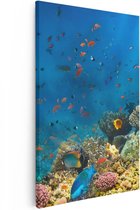 Artaza Canvas Schilderij Onderwater Vissen Met Koraal In De Zee - 40x60 - Poster Foto op Canvas - Canvas Print