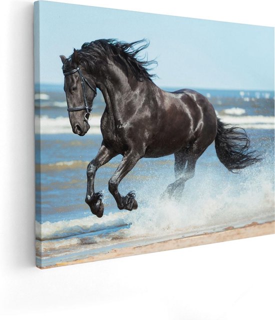 Artaza Canvas Schilderij Zwart Paard In Het Water - 100x80 - Groot - Foto  Op Canvas -... | bol.com