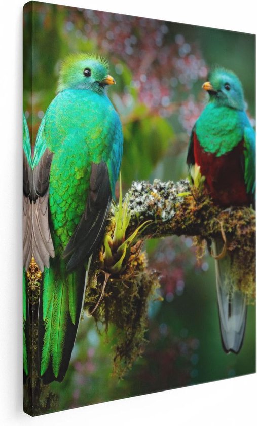 Artaza Canvas Schilderij Twee Groene Quetzal Vogels Op Een Tak - 30x40 - Klein - Foto Op Canvas - Canvas Print