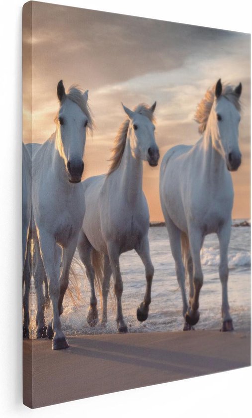 Artaza Canvas Schilderij Witte Paarden Op Het Strand Bij Water - 60x80 - Foto Op Canvas - Canvas Print