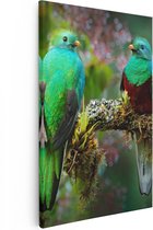 Artaza Canvas Schilderij Twee Groene Quetzal Vogels Op Een Tak - 20x30 - Klein - Foto Op Canvas - Canvas Print