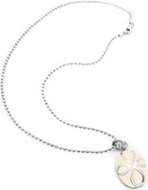 Ketting Dames Folli Follie 3N9F185W (20 cm)