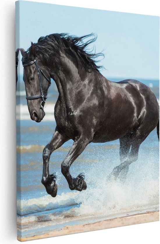 Artaza Canvas Schilderij Zwart Paard In Het Water - 80x100 - Groot - Foto Op Canvas - Canvas Print