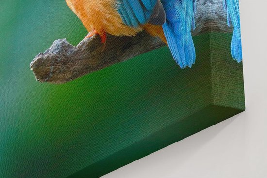Artaza Toile Peinture Blauw Oranje Martin-pêcheur Sur Une Branche - 120x60 - Groot - Image Sur Toile - Impression Sur Toile