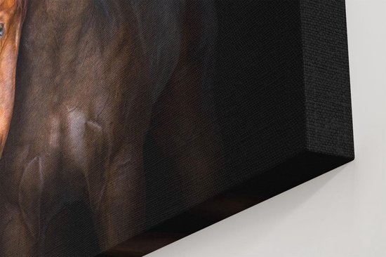 Artaza - Peinture sur toile - Couple de deux Paarden bruns - Amour - 120 x 60 - Groot - Photo sur toile - Impression sur toile