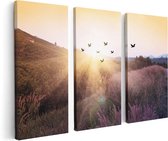 Artaza Canvas Schilderij Drieluik Silhouet Zwerm Vogels Bij Zonsondergang - 120x80 - Foto Op Canvas - Canvas Print