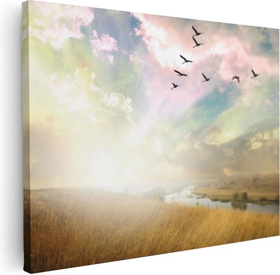 Artaza Canvas Schilderij Groep Vogels Vliegen Boven Het Gras - 80x60 - Foto Op Canvas - Canvas Print