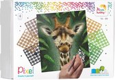 Pixelhobby geschenkdoos 4 basisplaten Giraffe