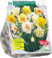 Plantenwinkel Narcissus Dubbel Mix bloembollen per 20 stuks