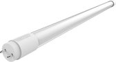 Ledbuis Toshiba A+ 25 W 3000 lm (Wit 4000K)