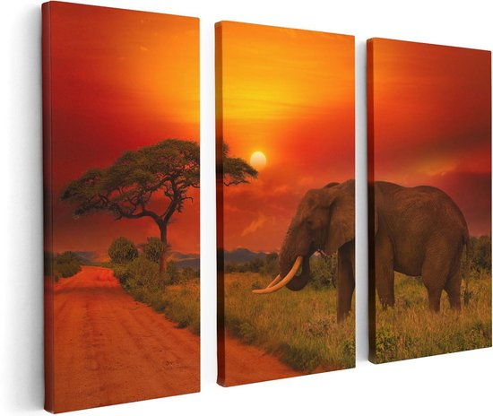 Artaza Canvas Schilderij Drieluik Olifant In Het Wild Tijdens Zonsondergang - 120x80 - Foto Op Canvas - Canvas Print