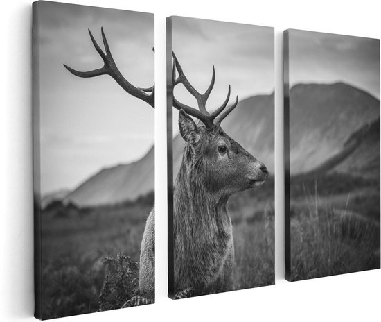 Artaza Canvas Schilderij Drieluik Hertenkop - Hert - Zwart Wit - 120x80 - Foto Op Canvas - Canvas Print