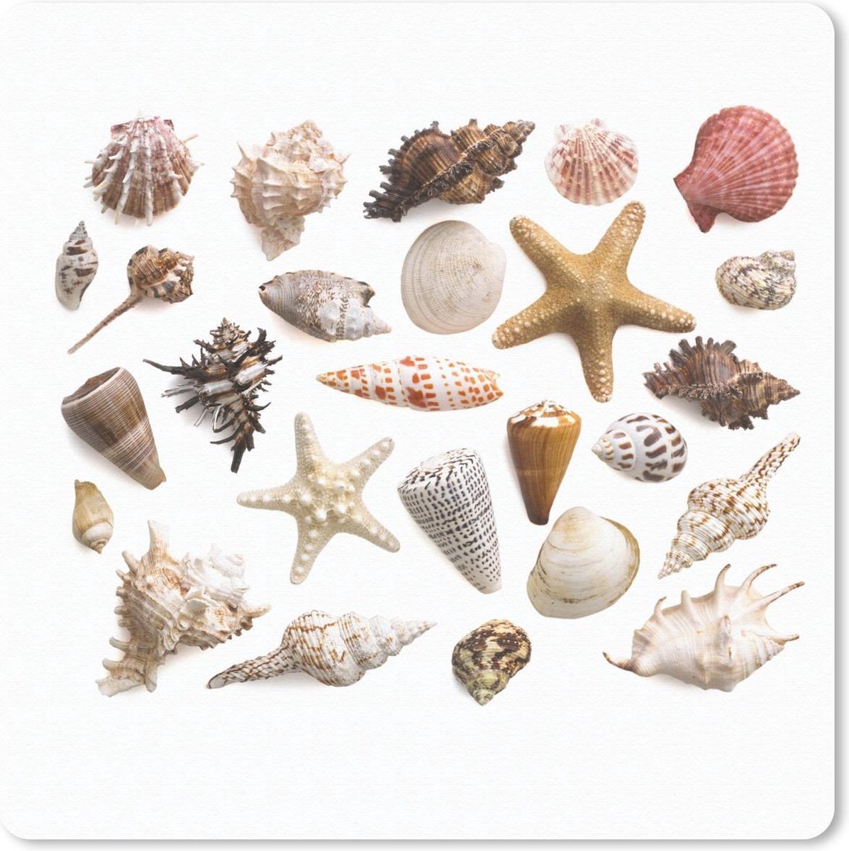 Muismat 20x20 cm - Mousepad Schelpen - Strand - Kleur - Collage - Muismatten