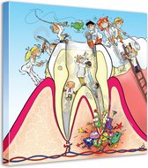Tandarts Cartoon op canvas - Roland Hols - Doorsnede kies - 90 x 90 cm - Houten frame 4 cm dik - Orthodontist - Mondhygiënist