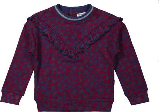 Dirkje - Girls Sweater ls Burgundy + aop - maat 116