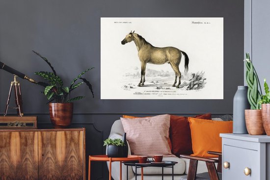 Stickers muraux - Autocollants - Cheval - Vintage - Animal - 120x80 cm - Autocollants Stickers muraux pour chambre d'enfant - Papier peint autocollant - Papier peint autocollant - Autocollants