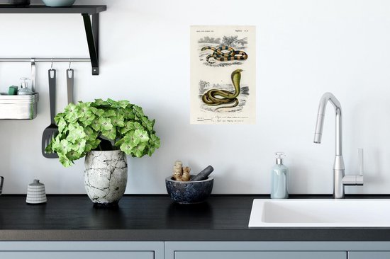 Stickers Stickers muraux - Serpent - Vintage - Reptiles - 20x30 cm - Feuille adhésive