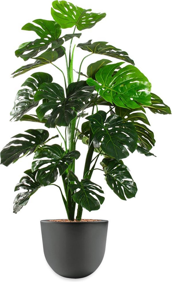HTT - Kunstplant Monstera in Eggy antraciet H130 cm