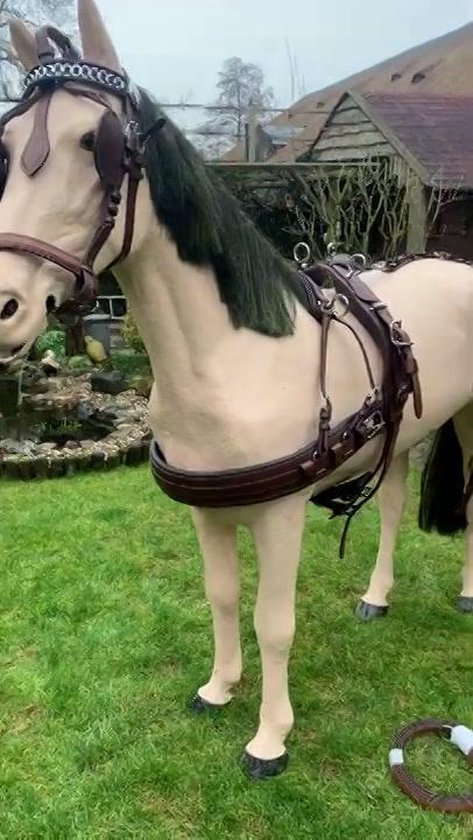 Harnais d'attelage cuir double pour Cheval Tattini - noir - Full