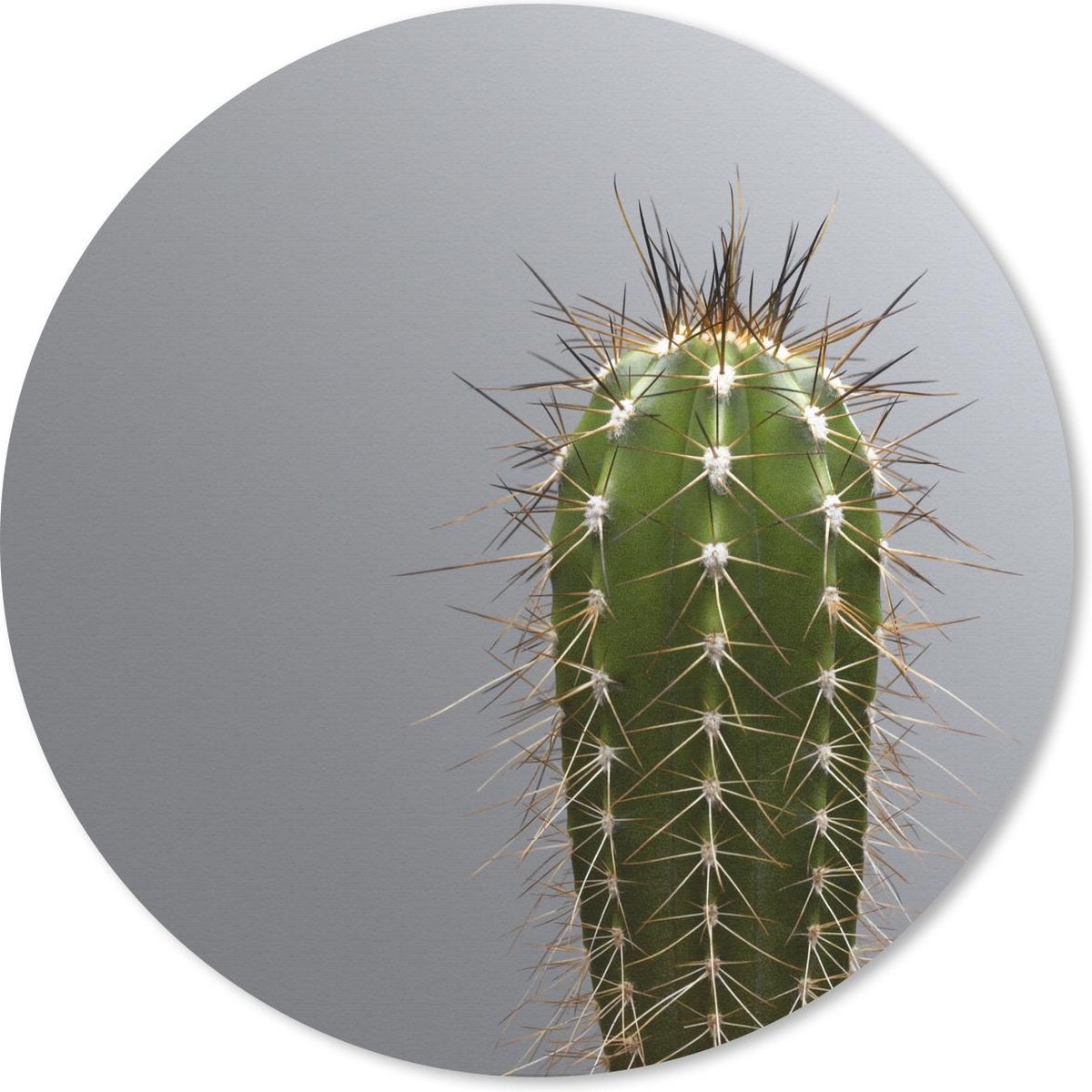 Muismat rond 50x50 cm - Mousepad Cactus botanische print - Ronde muismatten