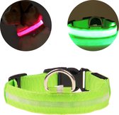 Lichtgevende Halsband Hond – LED Halsband – Verlichting hond – Hondenhalsband Puppy - Halsbandjes voor puppys – Groen - XL