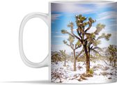 Mok - Sneeuw in Joshua Tree National Park - 350 ml - Beker