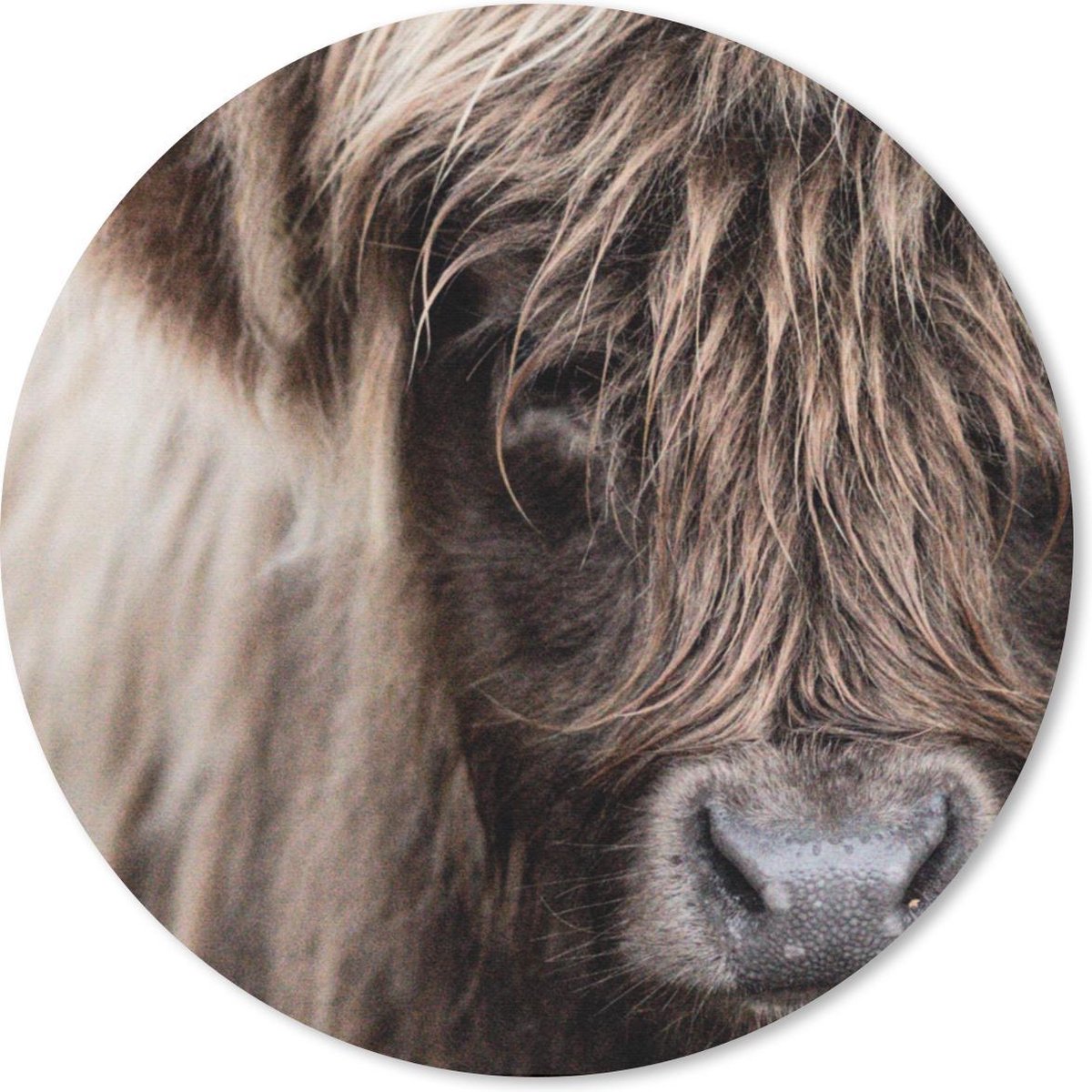 Muismat rond 50x50 cm - Mousepad Schotse Hooglander - Schotse Koe - Ronde muismatten