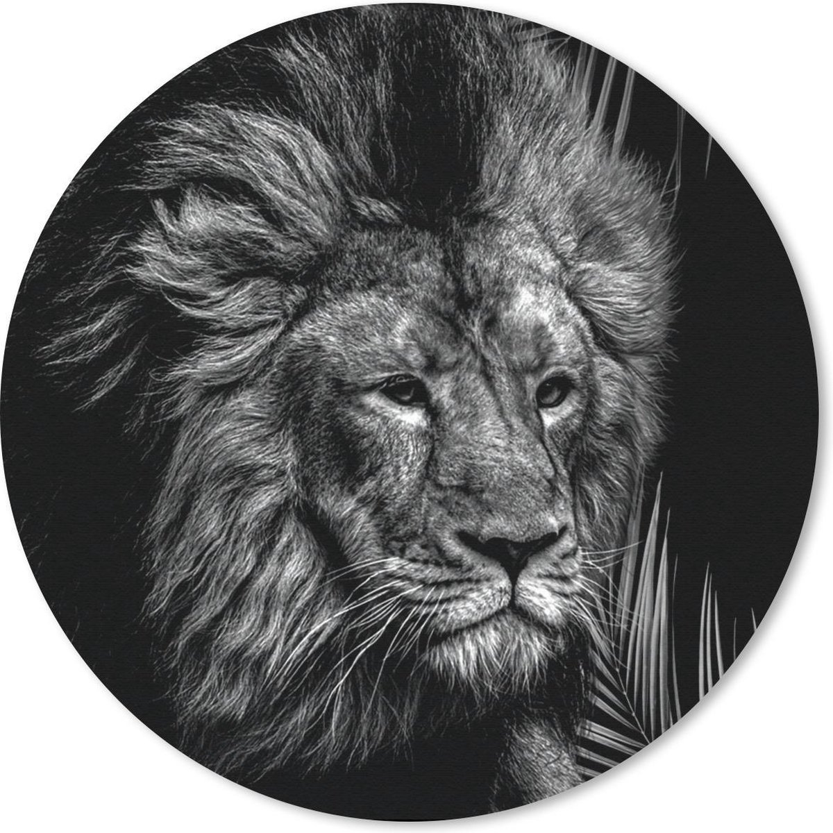 Muismat rond 40x40 cm - Mousepad Leeuw - Varen - Zwart - Wit - Ronde muismatten