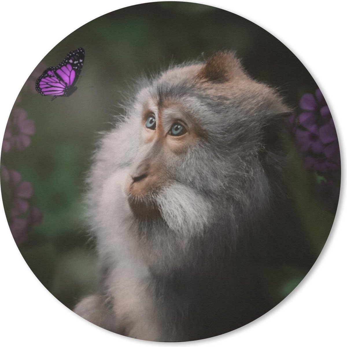 Muismat rond 40x40 cm - Mousepad Vlinder - Dieren - Aap - Ronde muismatten