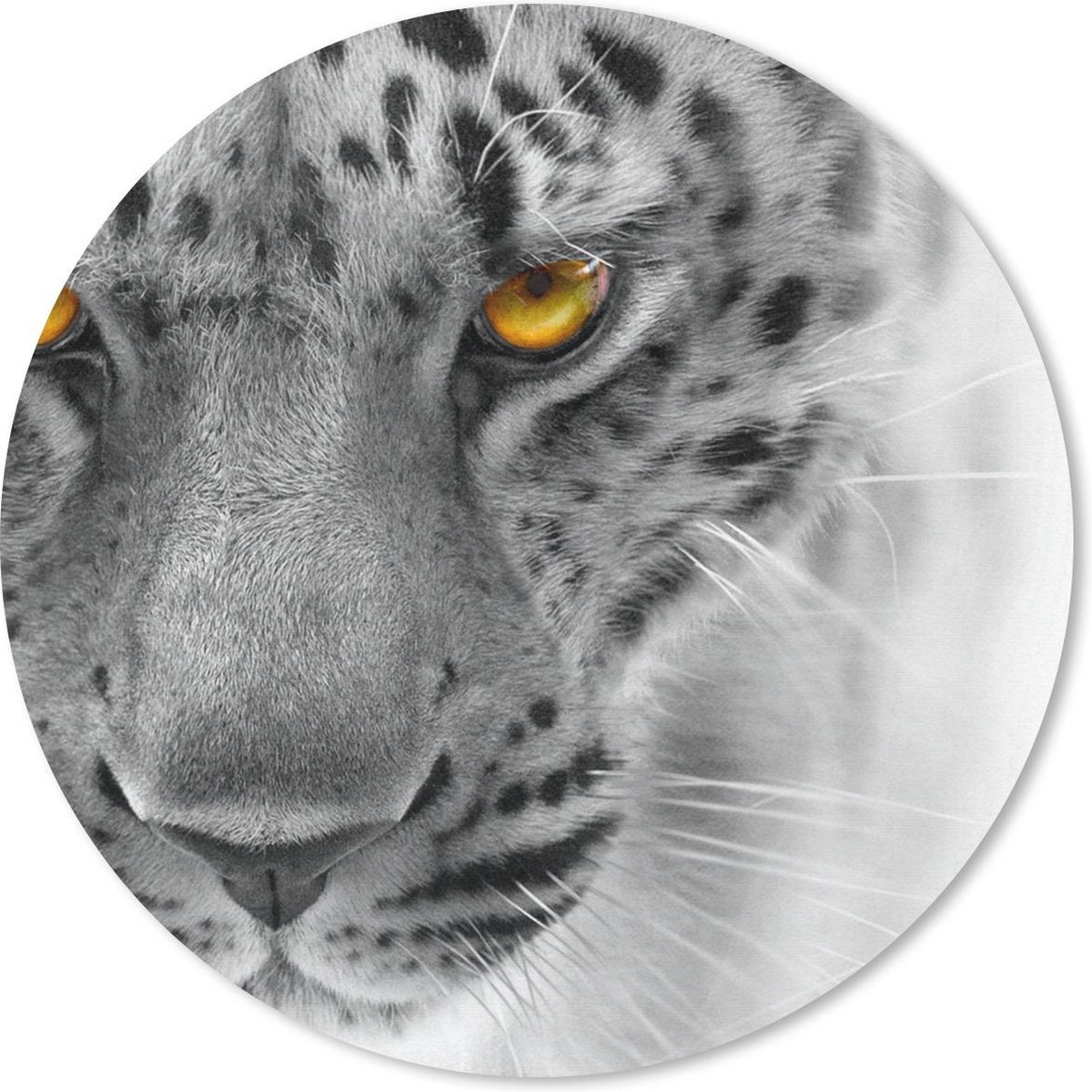 Muismat rond 50x50 cm - Mousepad Luipaard - Ogen - Zwart - Wit - Ronde muismatten
