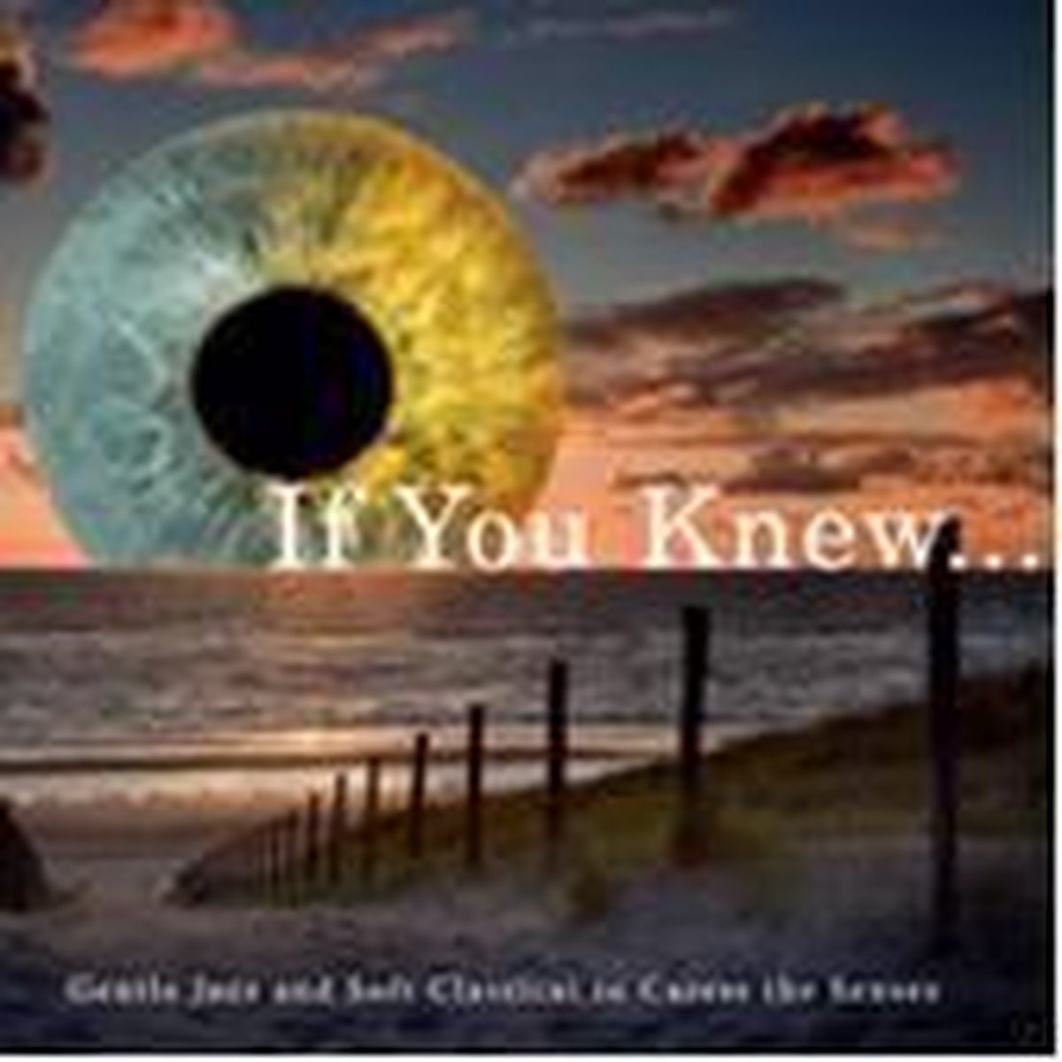 Jos Willem Van De Poll - If You Knew... (2 CD)