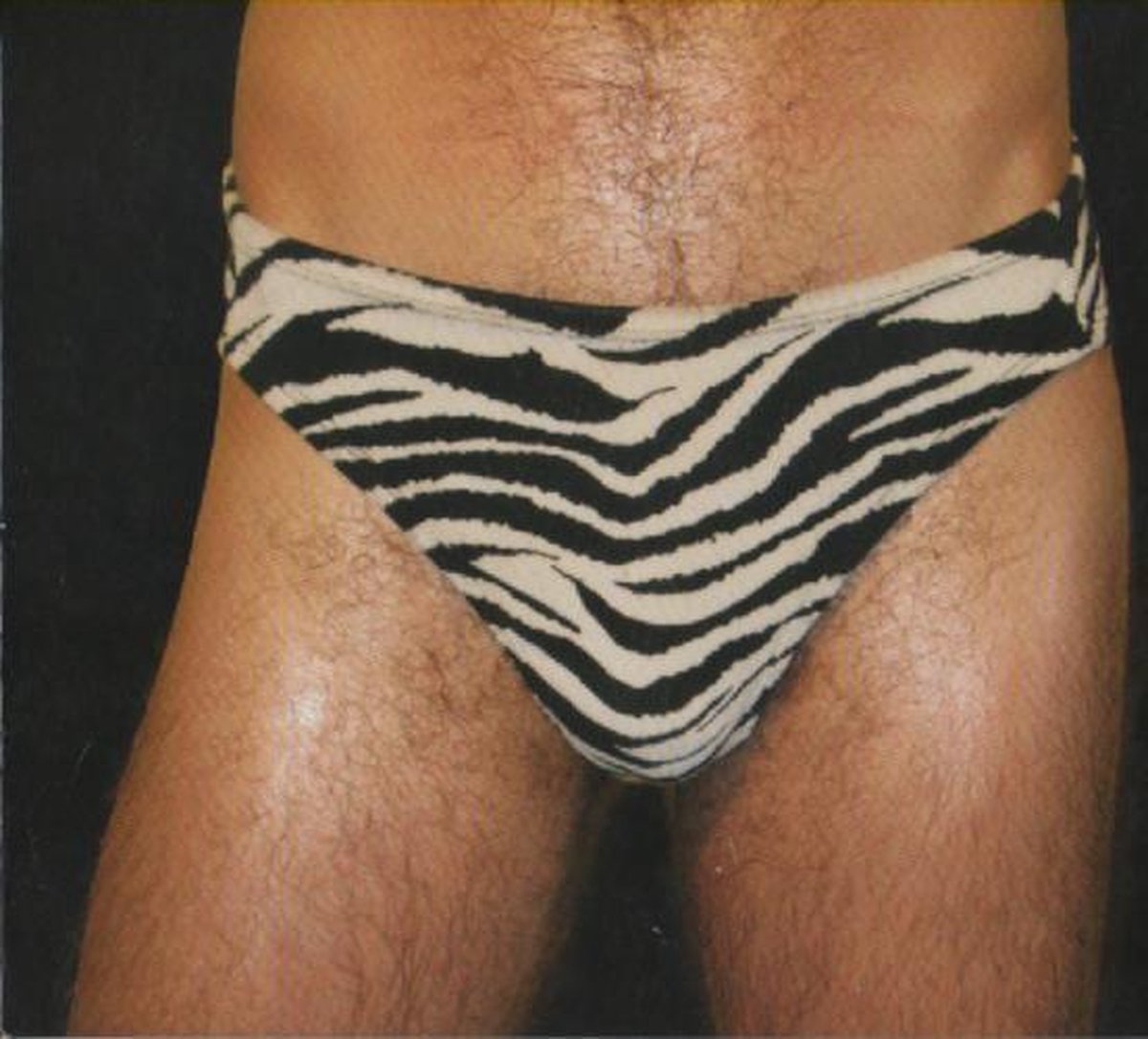 Hunx And His Punx - Gay Singles (CD)