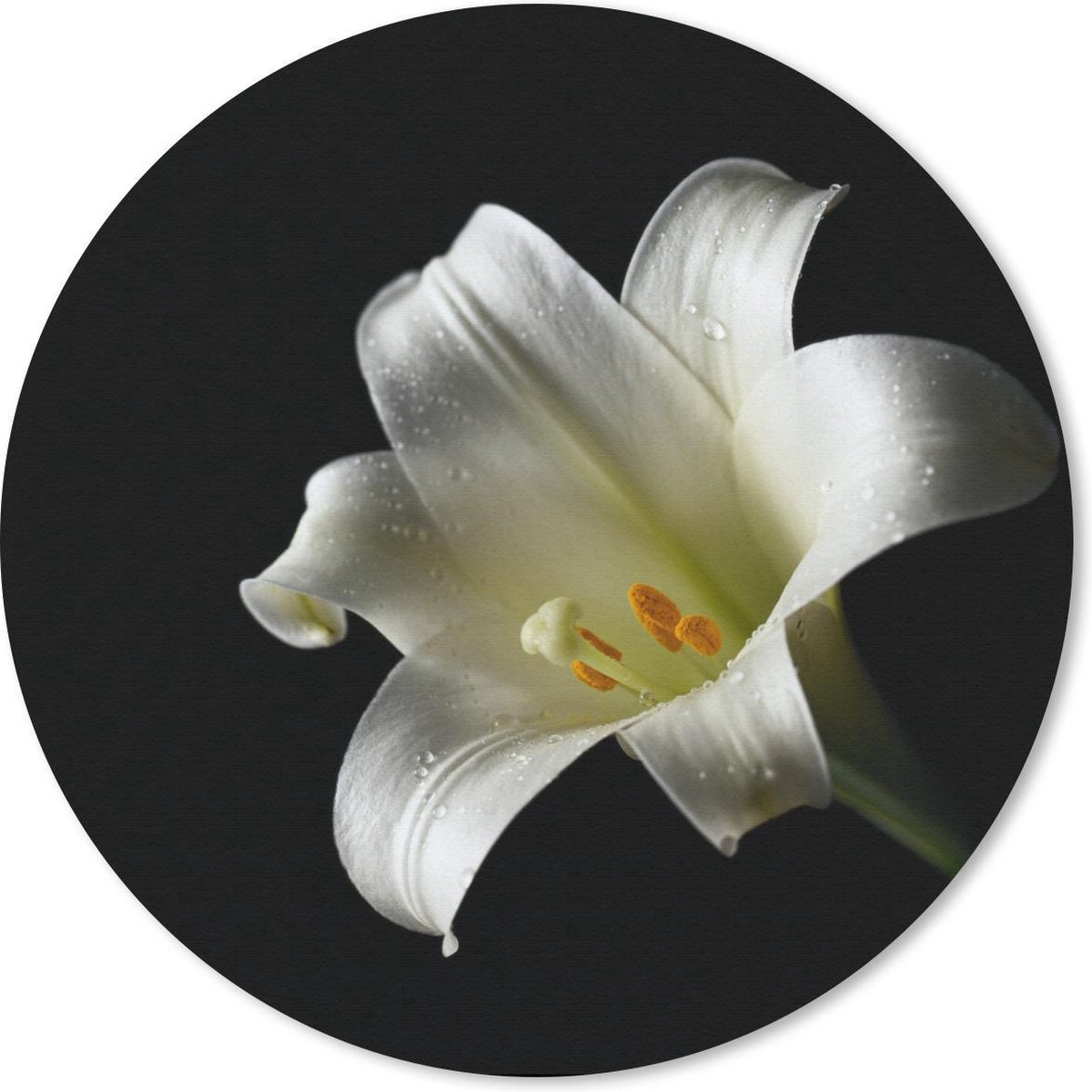 Muismat rond 40x40 cm - Mousepad Close-up van witte lelie - Ronde muismatten