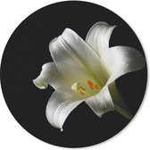 Muismat - Mousepad - Rond - Close-up van witte lelie - 40x40 cm - Ronde muismat