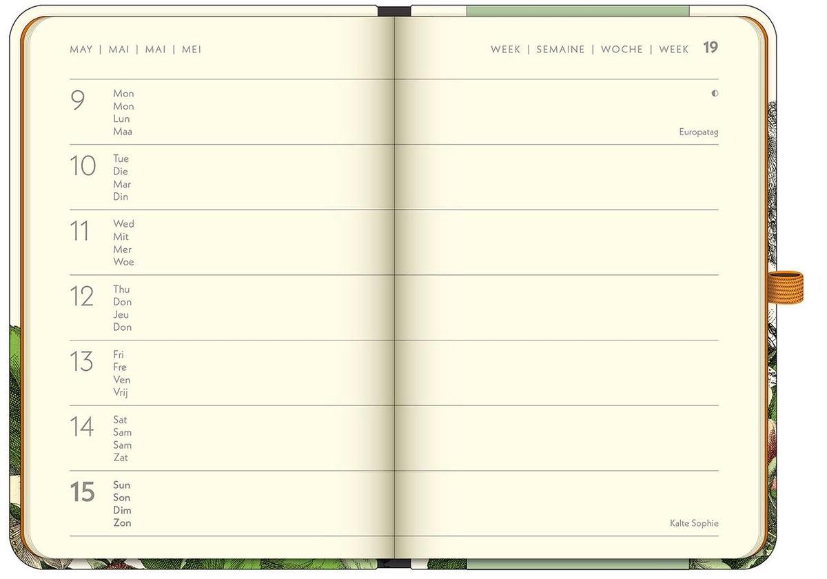 Taschenkalender Buchkalender 10x15 GreenLine Diary Fabulous World of PABUKU 2021 