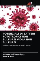 Potenziali Di Batteri Fototrofici Non Sulfurei Viola Non Sulfurei