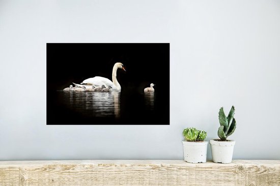 Poster Cygne - Poussin - Zwart - 30x20 cm