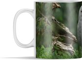 Mok - Sneeuwuil in de natuur - 350 ml - Beker